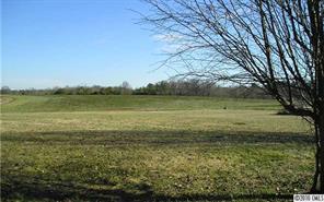 3718 Richardson Road Monroe, NC 28112 - Photo 5 of 5 a view of an ocean from a yard