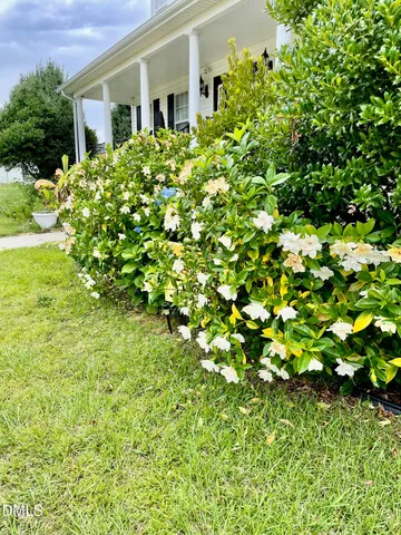 a view of a flower in a garden