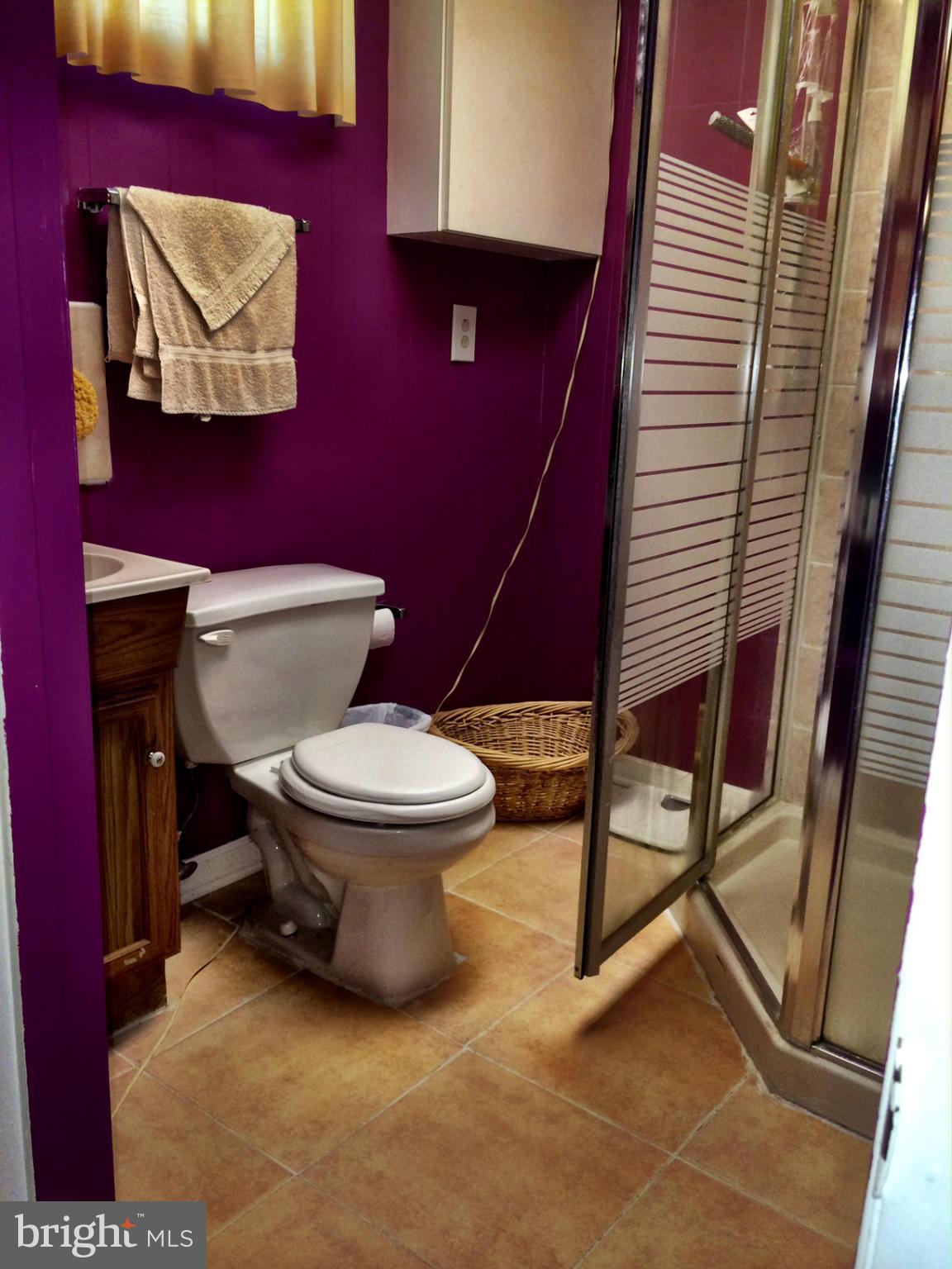 310 Hammershire Road Reisterstown, MD 21136 - Photo 16 of 27 full bath in LL w shower
