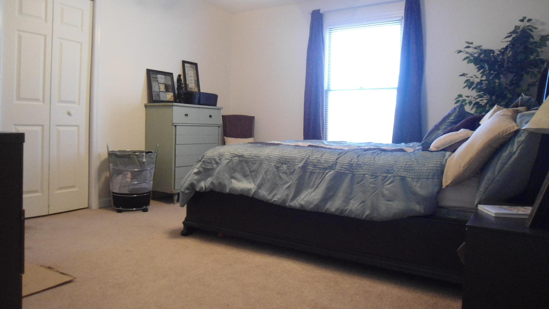 185 Long Road Kingston, TN 37763 - Photo 25 of 25 DSC00525