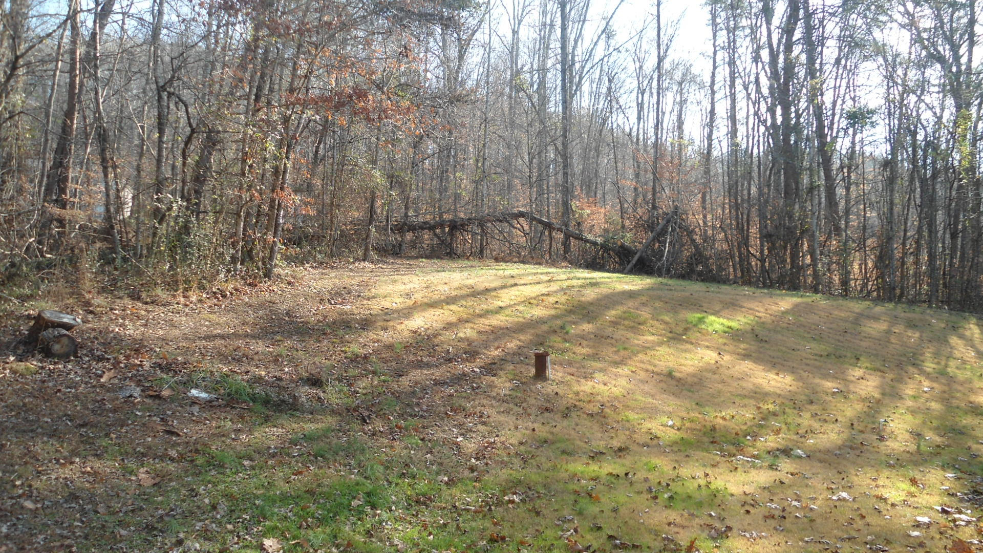 185 Long Road Kingston, TN 37763 - Photo 6 of 25 DSC00510