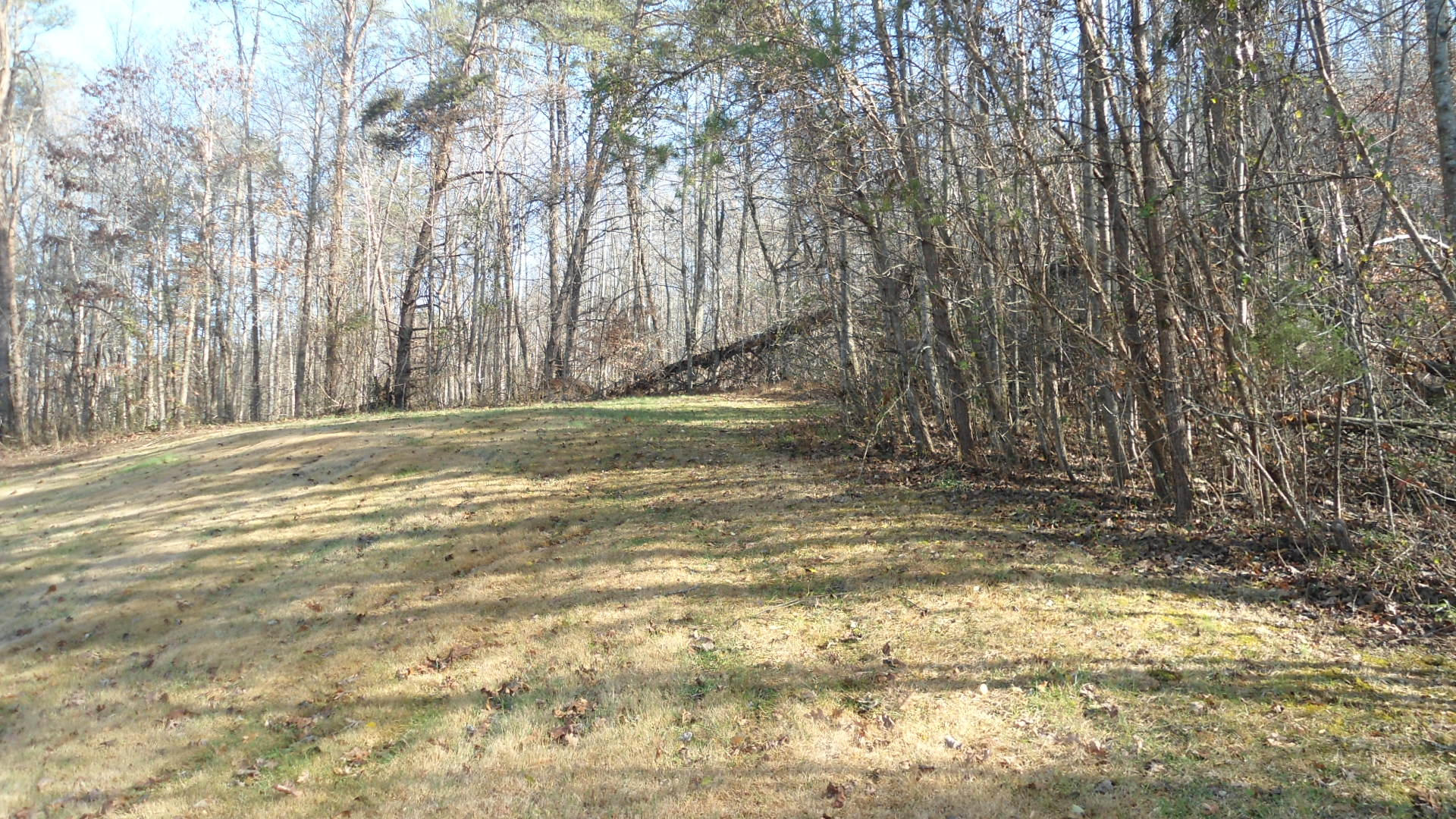 185 Long Road Kingston, TN 37763 - Photo 7 of 25 DSC00512