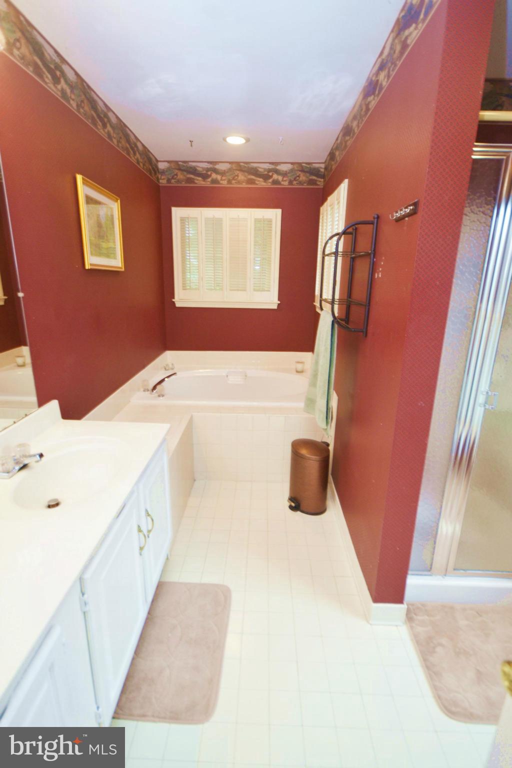 2302 Pondside Terrace Silver Spring, MD 20906 - Photo 11 of 29 Bath (Master)