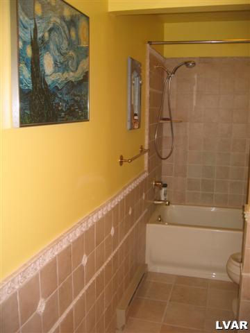 1320 Kroucher Road Stroudsburg, PA 18360 - Photo 12 of 27 a bathroom with a shower and a bathtub