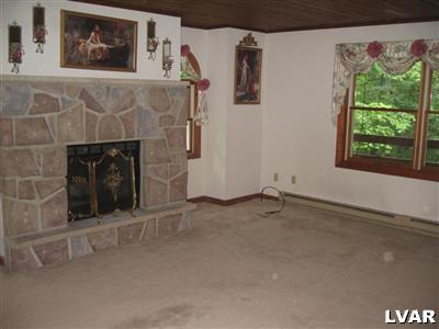 1320 Kroucher Road Stroudsburg, PA 18360 - Photo 4 of 27 a view of an empty room with a fireplace and a window