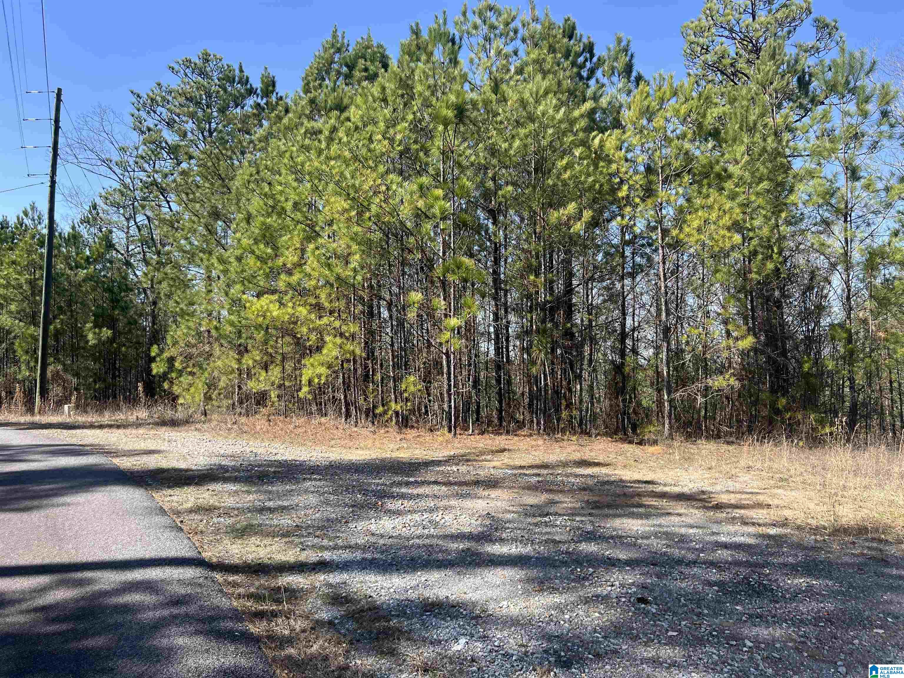 Shoreside Lane, Unit 210 Sylacauga, AL 35151 - Photo 2 of 9