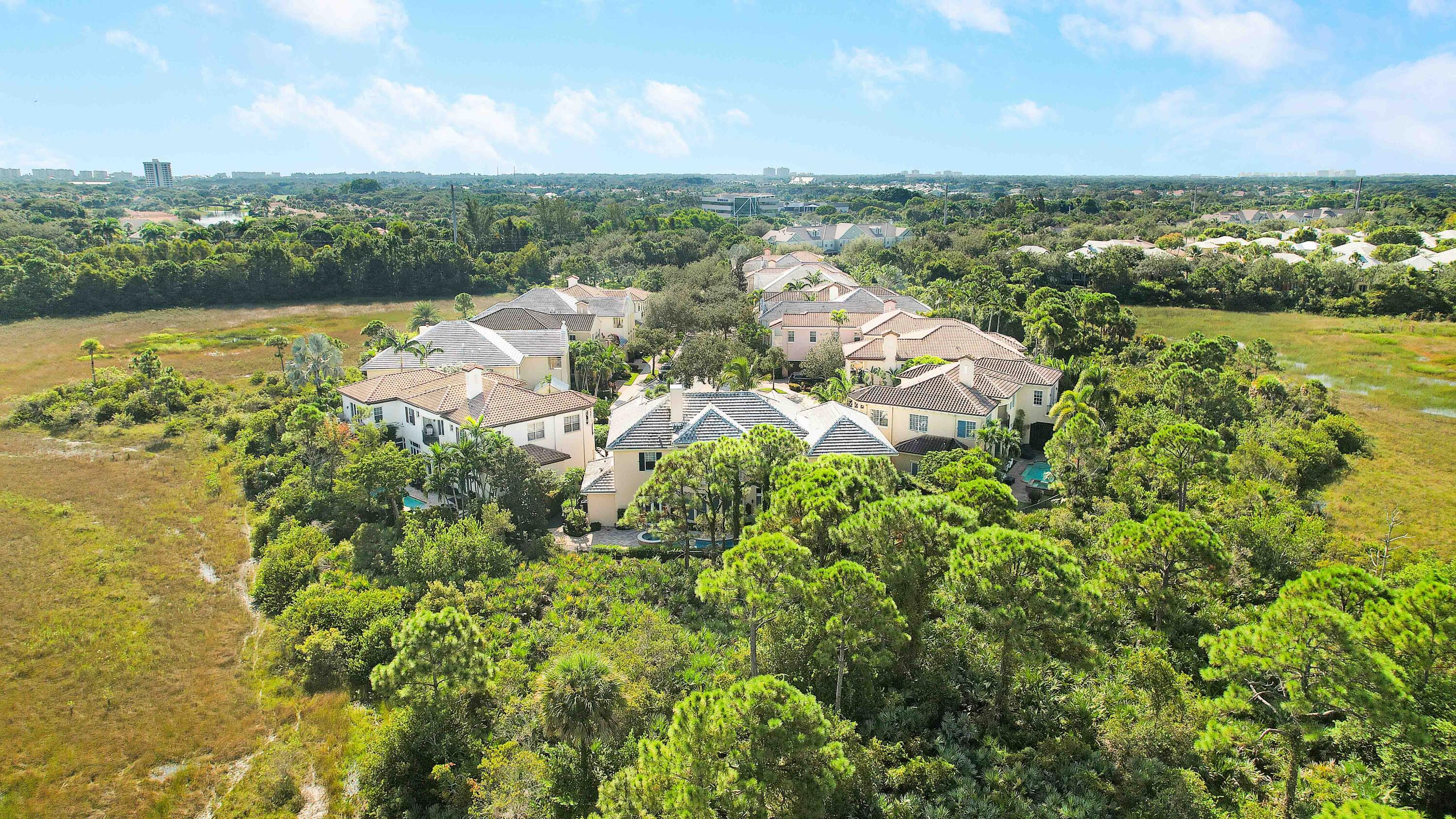 140 Tulip Tree Court Jupiter, FL 33458 - Photo 72 of 80 Aerial View