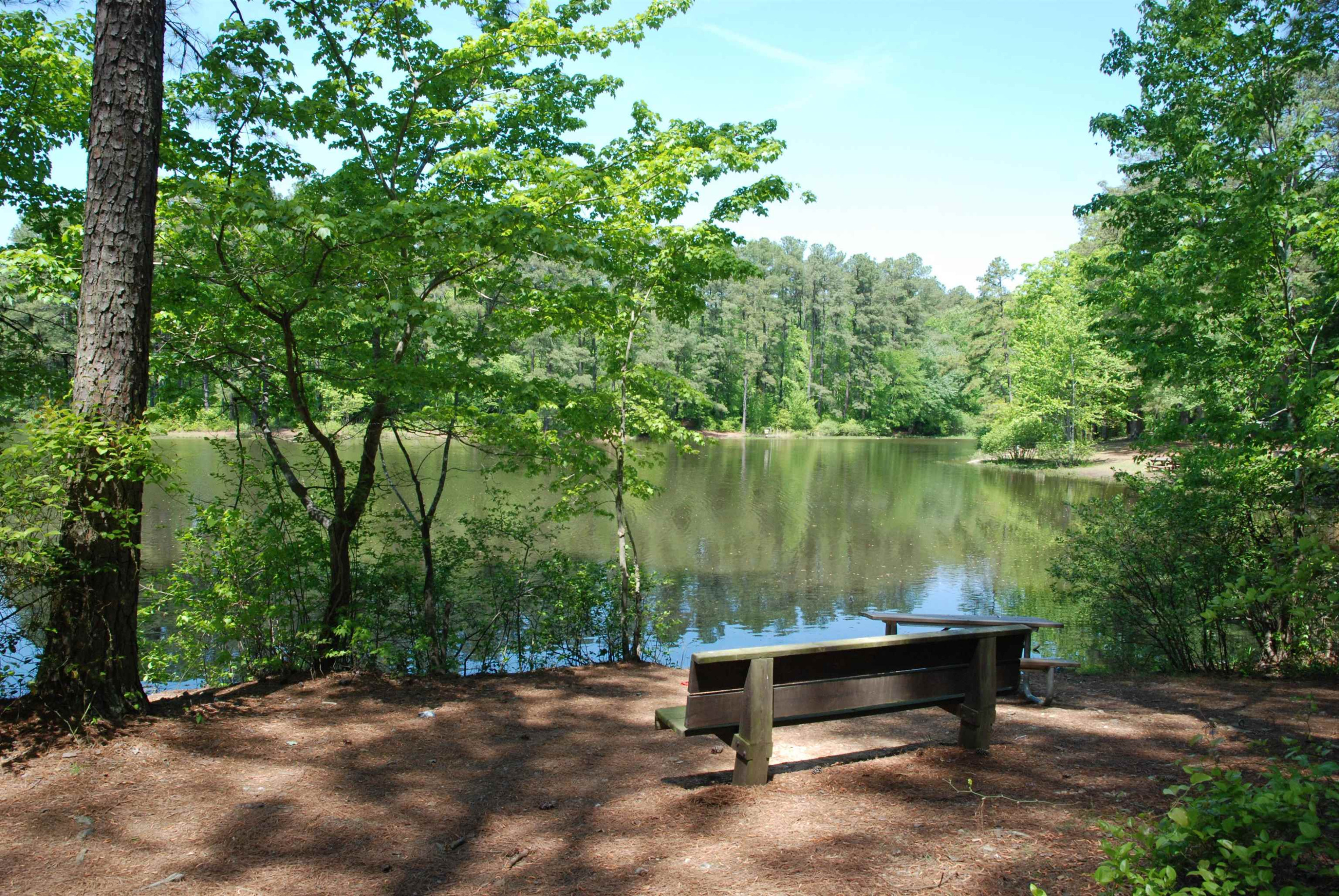 5111 Old Stage Road Raleigh, NC 27603 - Photo 28 of 29 Convenient to Lake Wheeler park
