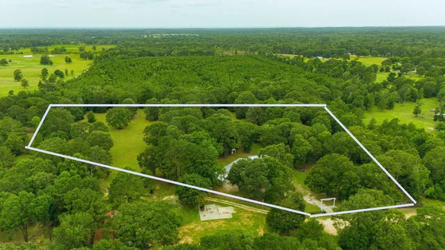 a view of park with stairs