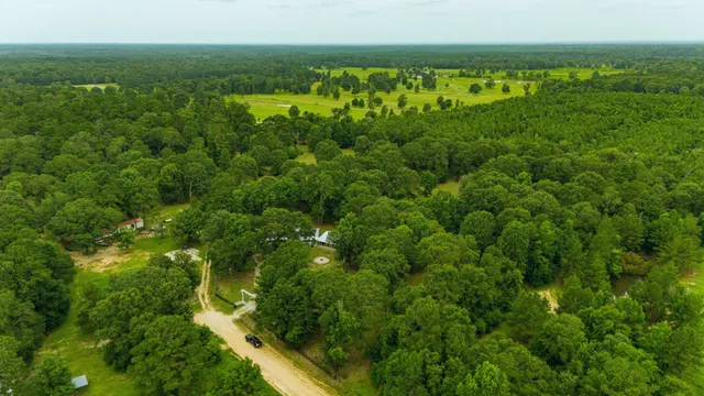 a view of a field with an ocean