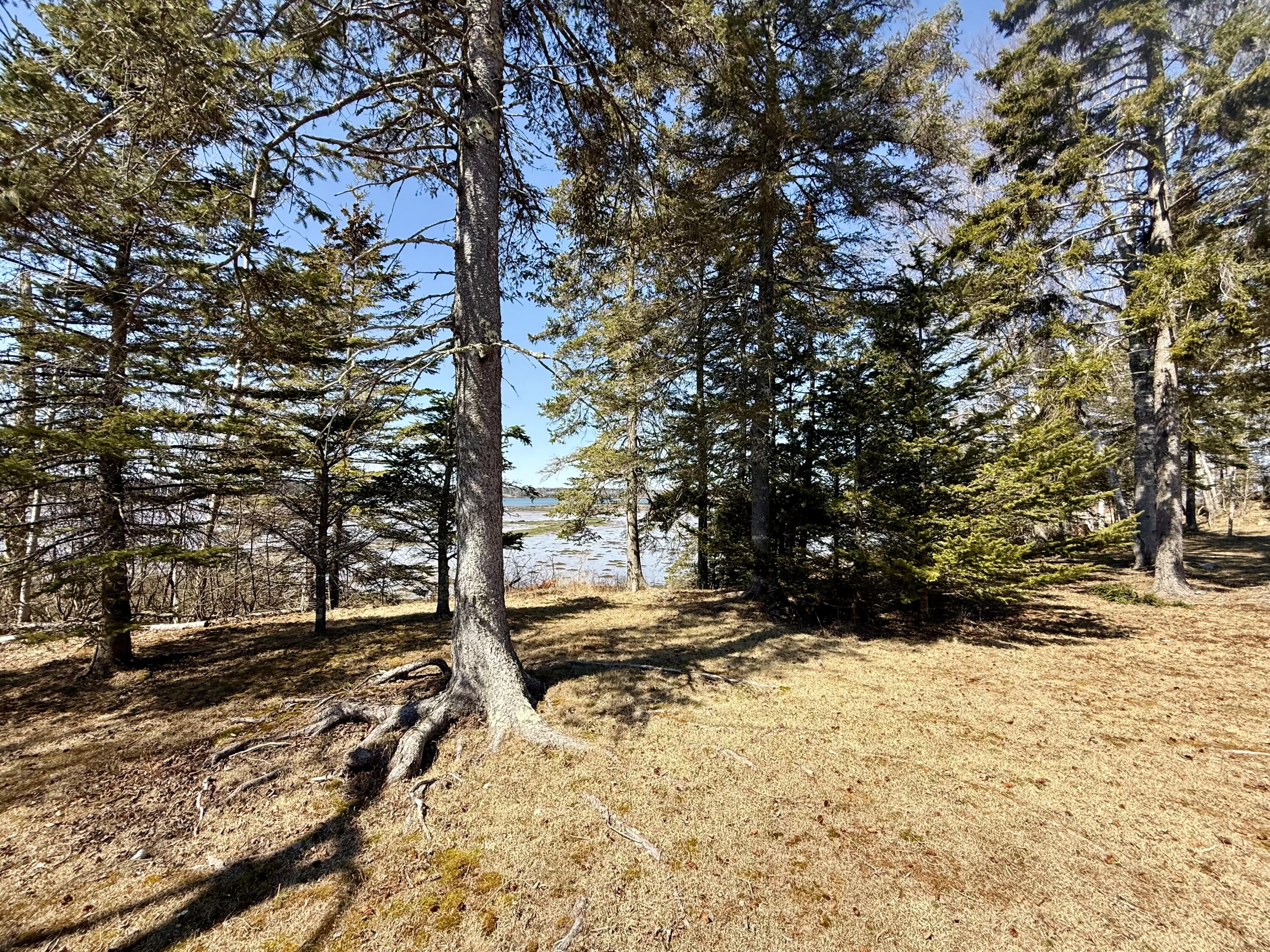 20 Vanasse Road Eastport, ME 04631 - Photo 11 of 71 IMG_8100