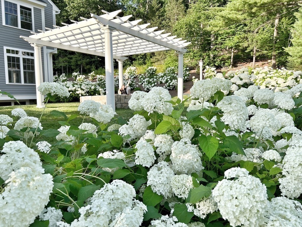 25 Byron Road Weston, MA 02493 - Photo 21 of 21 a view of a bunch of flowers in front of house