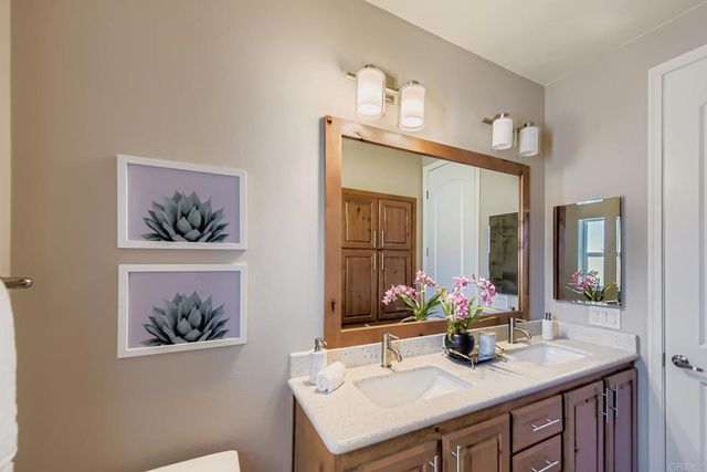 a view of a yard with plants and large trees