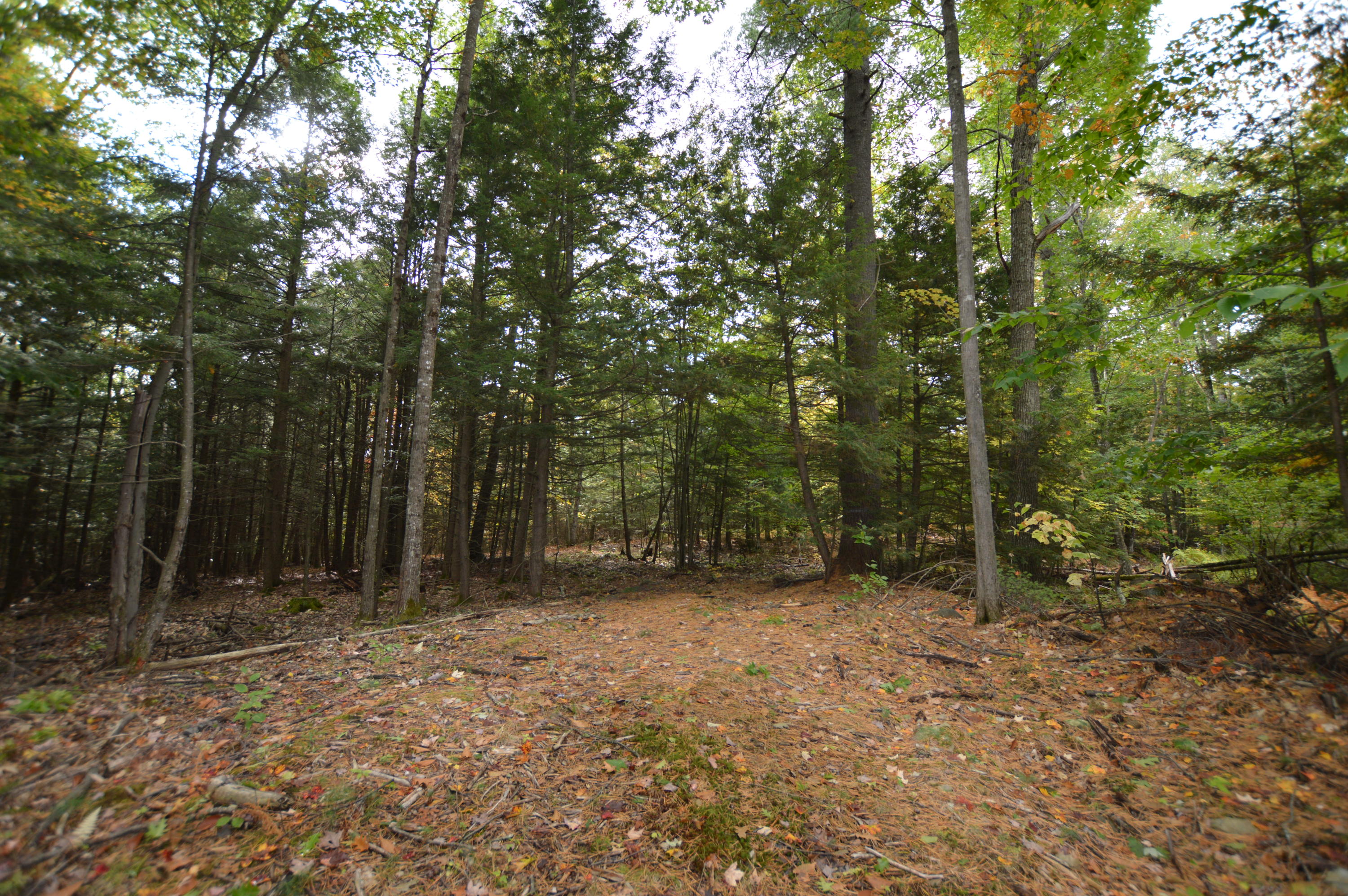 0 Soper Road Winthrop, ME 04364 - Photo 21 of 31 DSC_1423