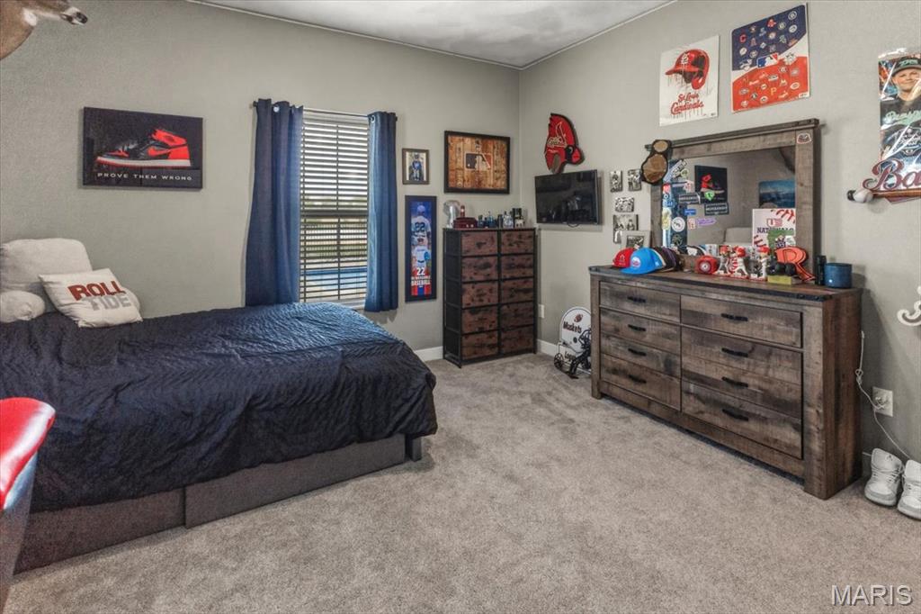 922 Powell Road Red Bud, IL 62278 - Photo 57 of 74