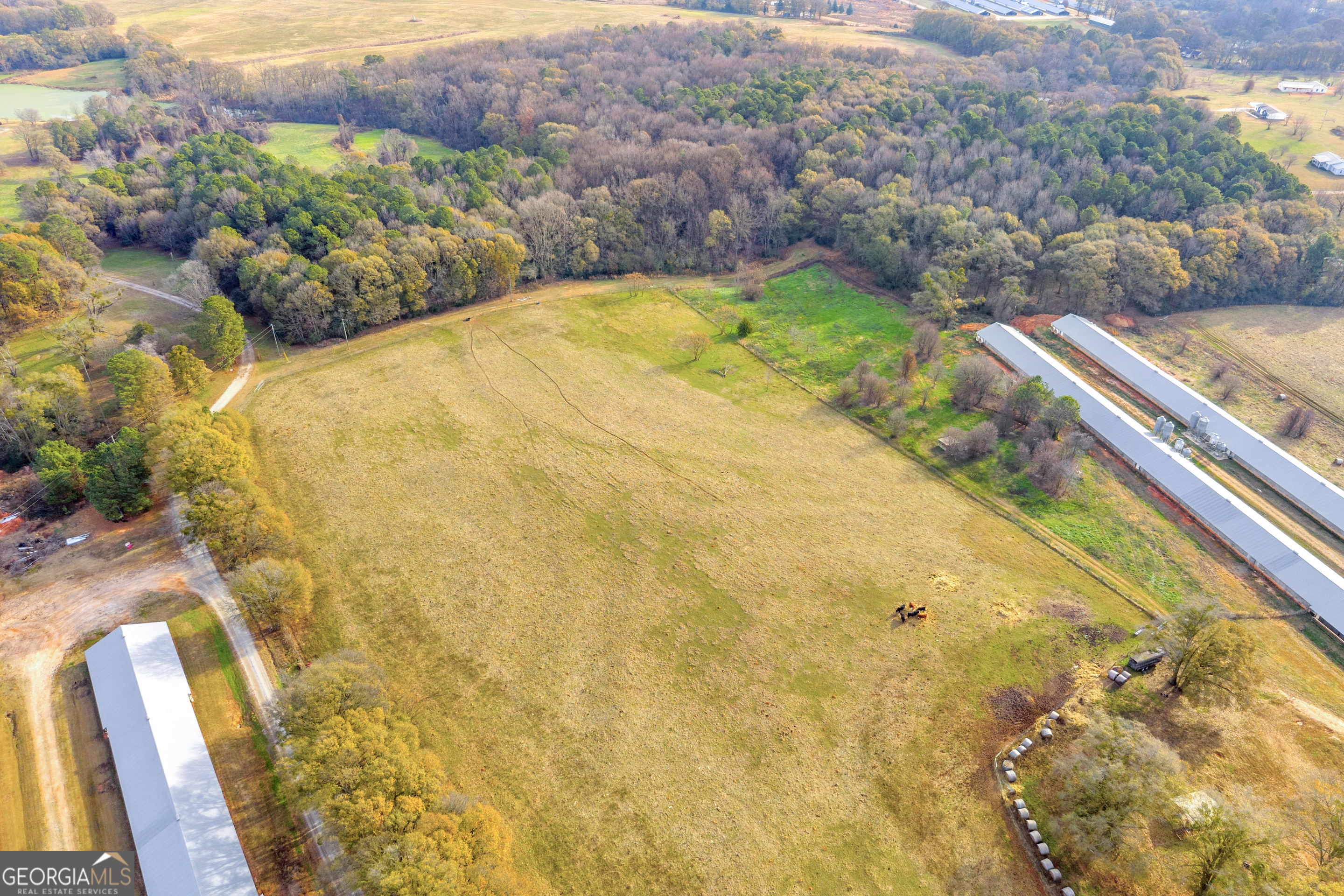 1350 Bakers Road Royston, GA 30662 - Photo 17 of 35 a view of a backyard with plants and lake view