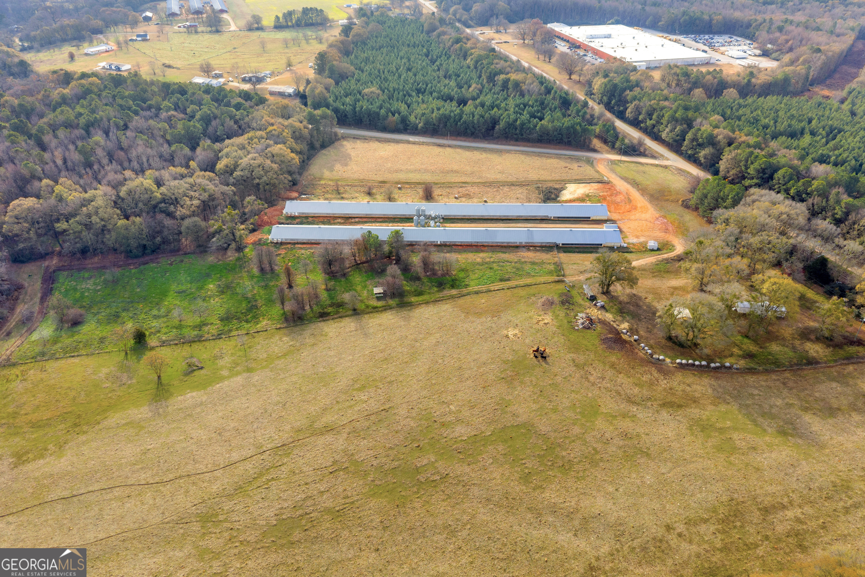1350 Bakers Road Royston, GA 30662 - Photo 19 of 35 a view of yard along with trees