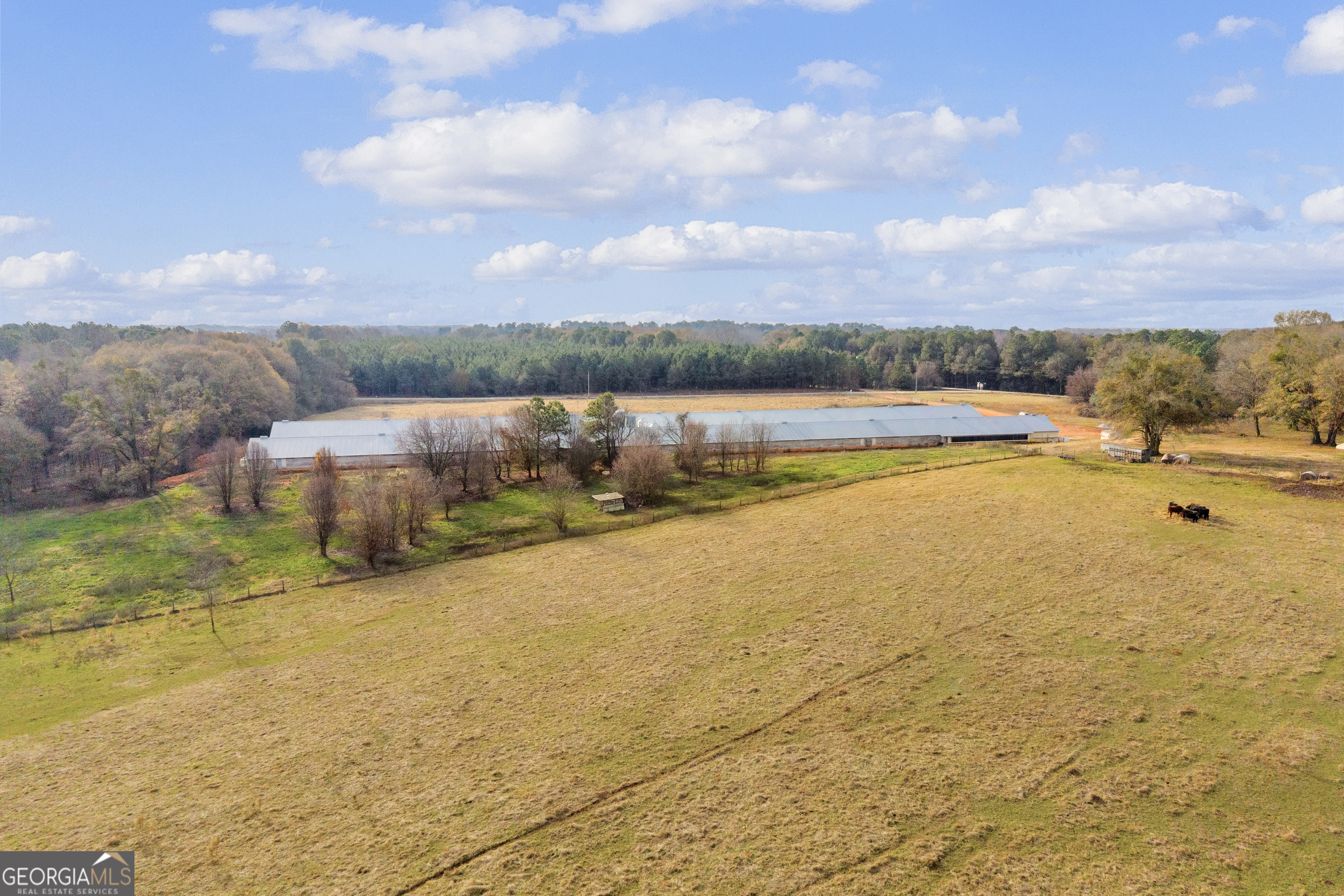 1350 Bakers Road Royston, GA 30662 - Photo 23 of 35 a view of a lake
