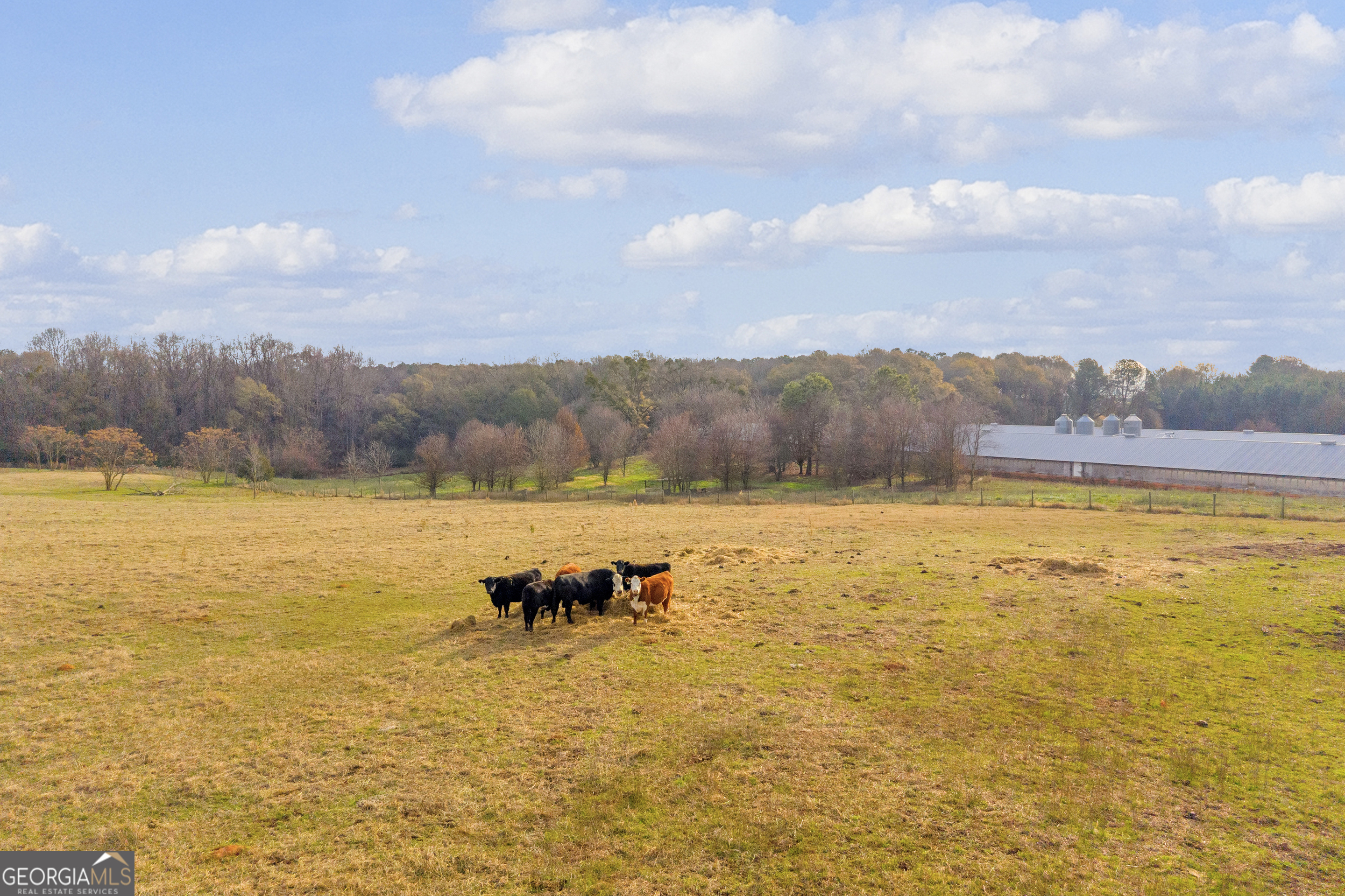 1350 Bakers Road Royston, GA 30662 - Photo 28 of 35 a view of an ocean and a mountain