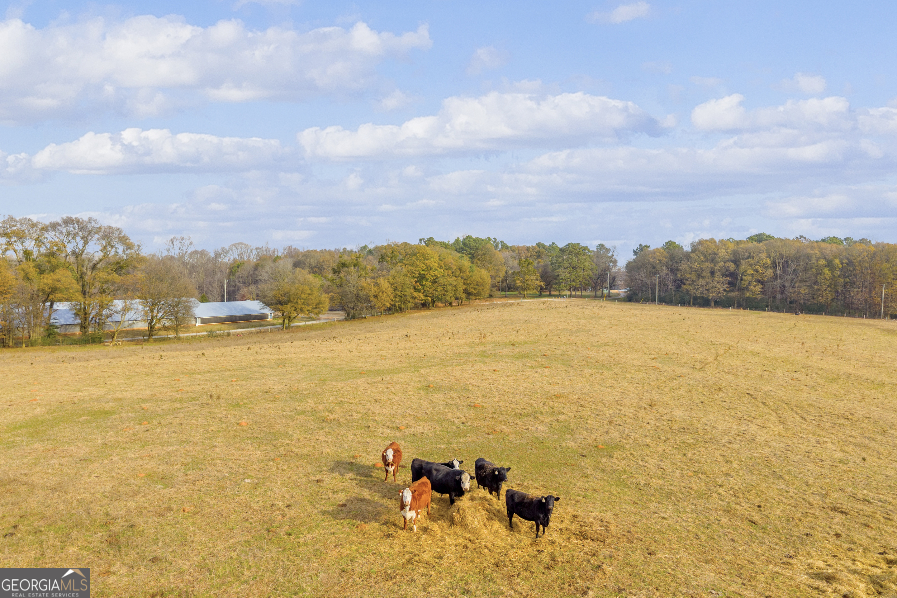 1350 Bakers Road Royston, GA 30662 - Photo 30 of 35