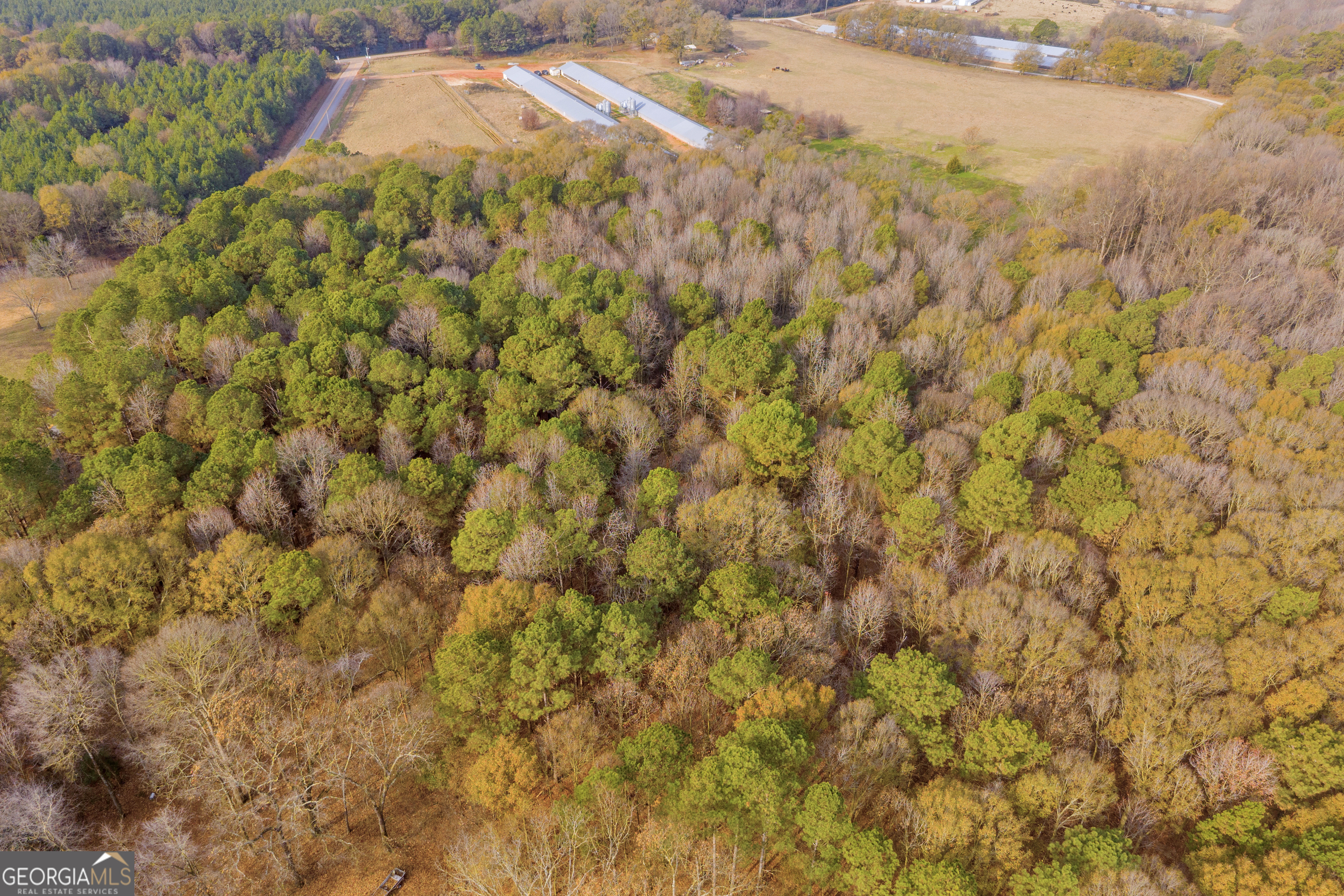 1350 Bakers Road Royston, GA 30662 - Photo 35 of 35 a view of a yard