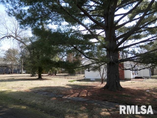 320 North 30th Street Herrin, IL 62948 - Photo 5 of 30