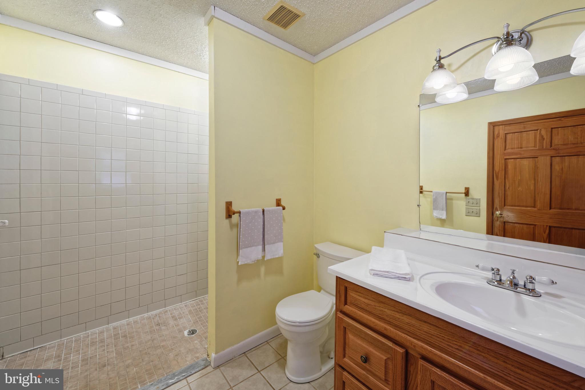 35075 Bloomfield Road Round Hill, VA 20141 - Photo 17 of 63 Primary bath with large shower