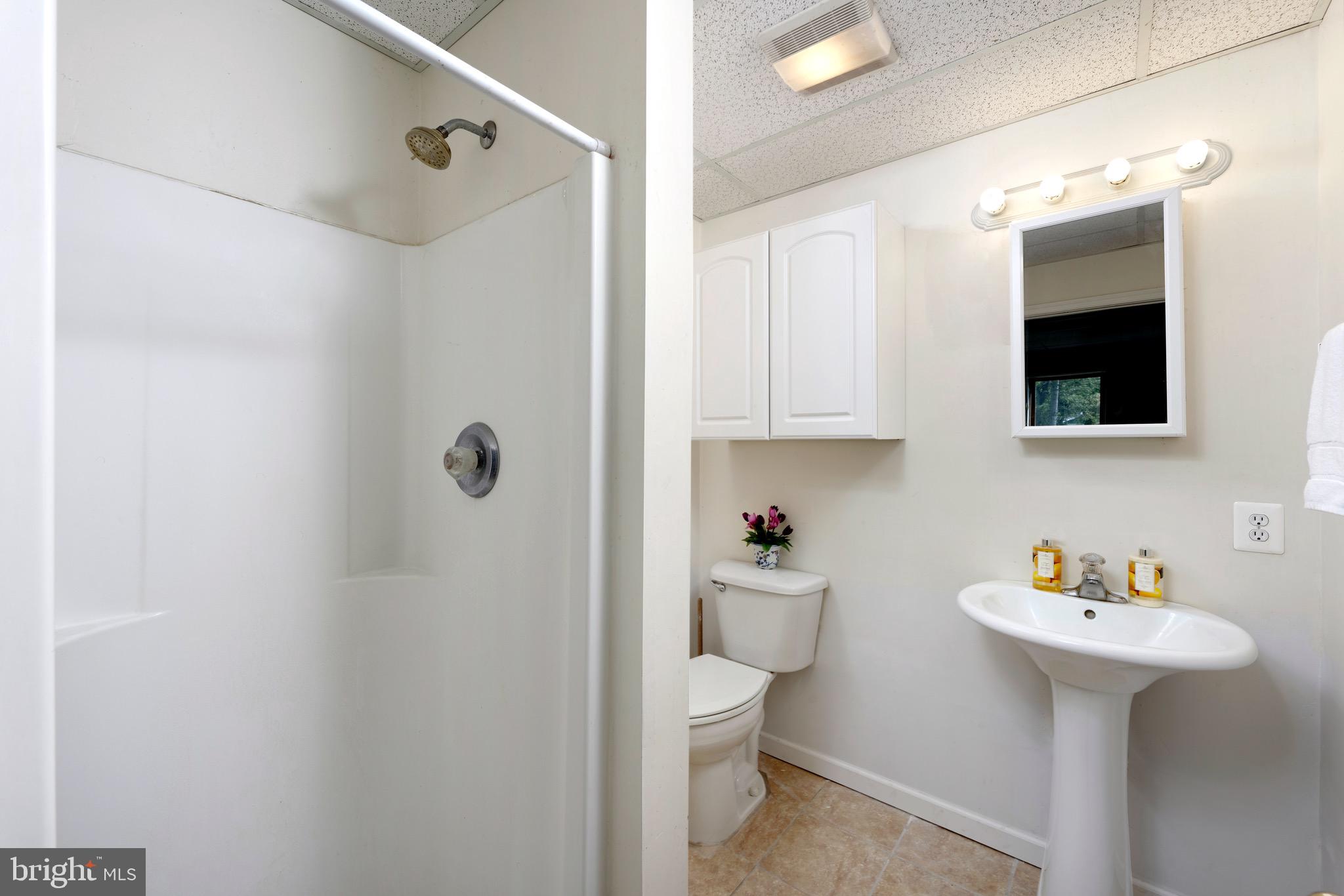 35075 Bloomfield Road Round Hill, VA 20141 - Photo 22 of 63 Full bath in the LL apartment