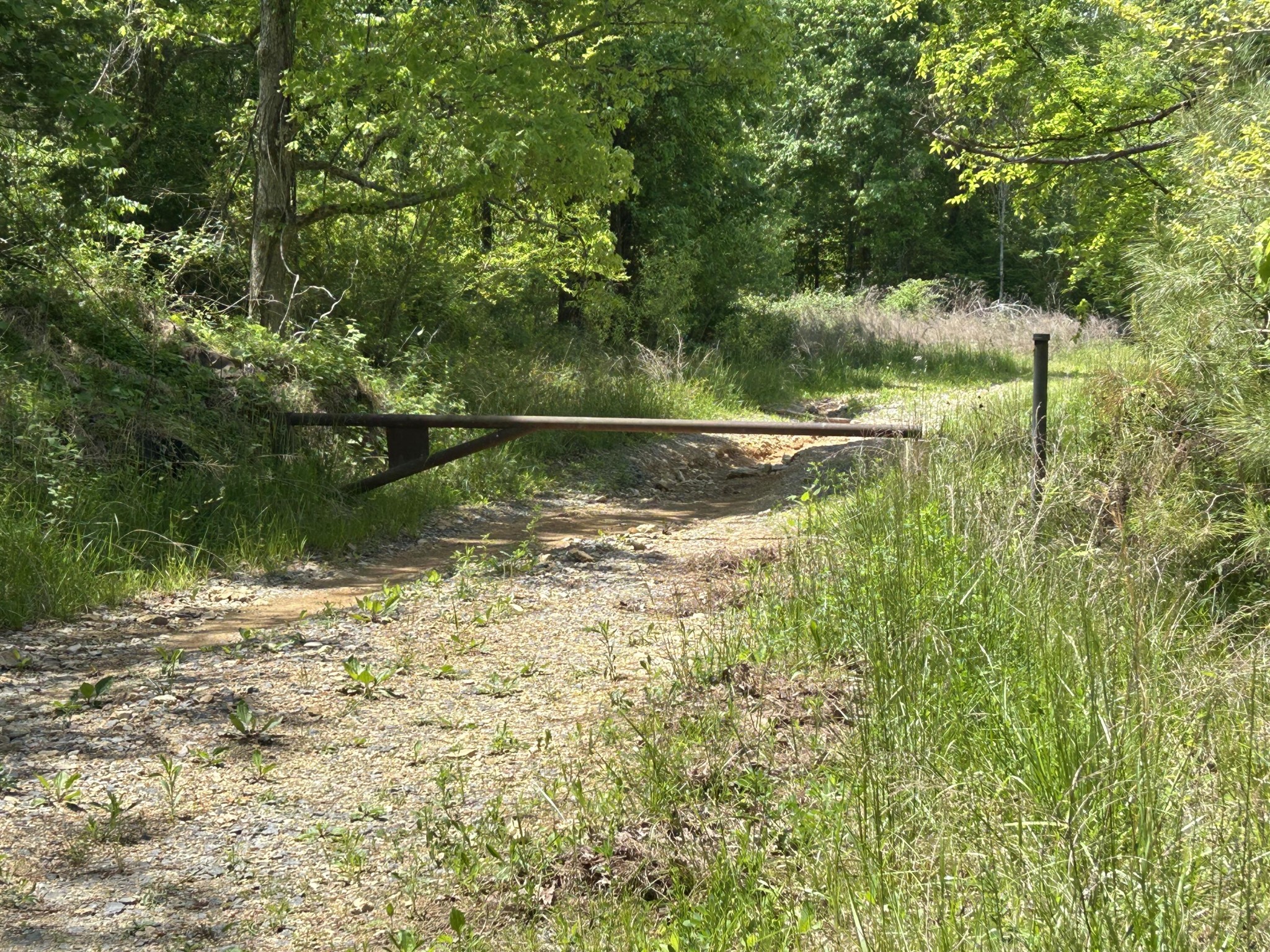 526 Prigmore Ridge Road Decatur, TN 37322 - Photo 7 of 9 Gallery Image 7