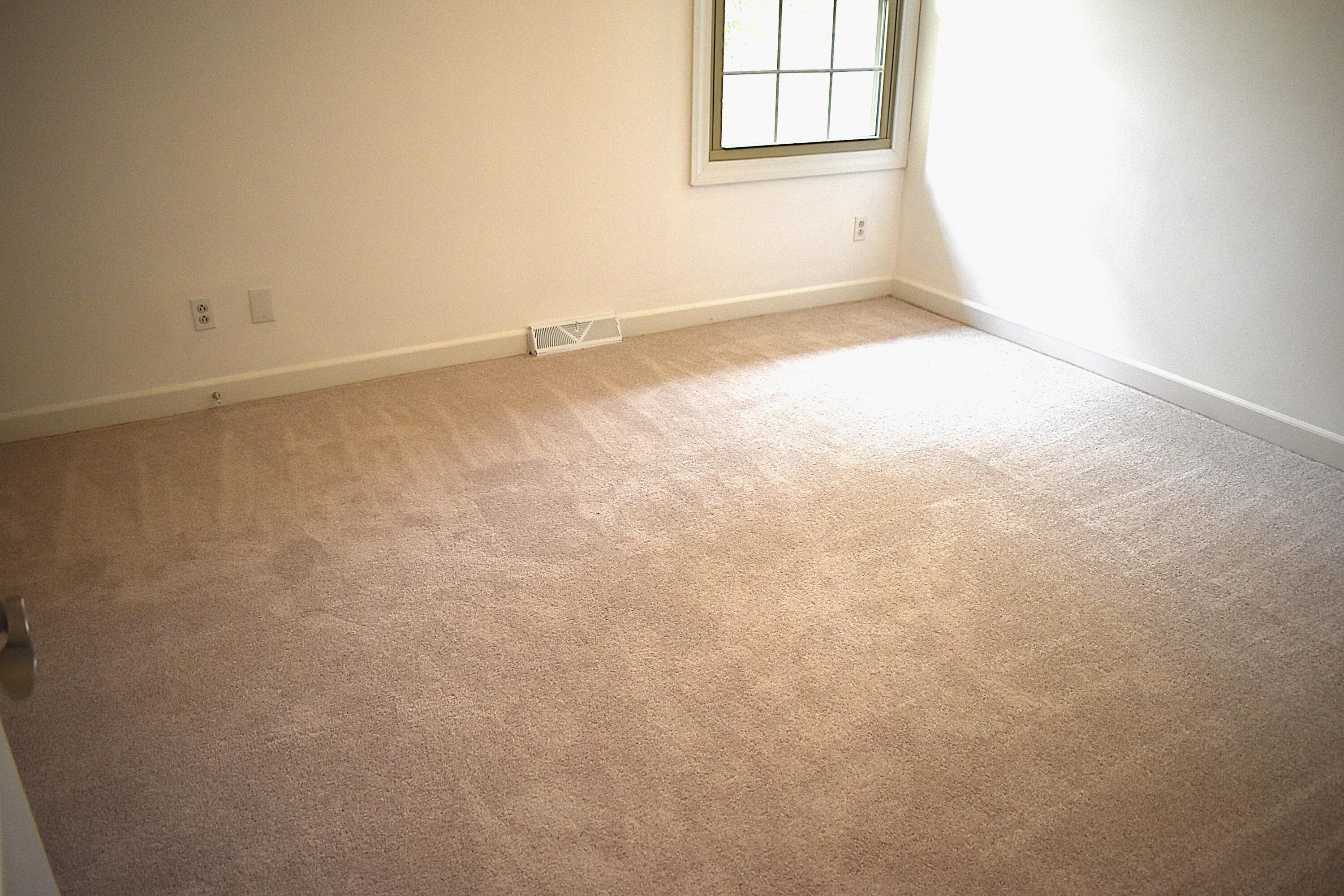 204 Regency Point Path Lexington, KY 40503 - Photo 24 of 35 DSC_0018