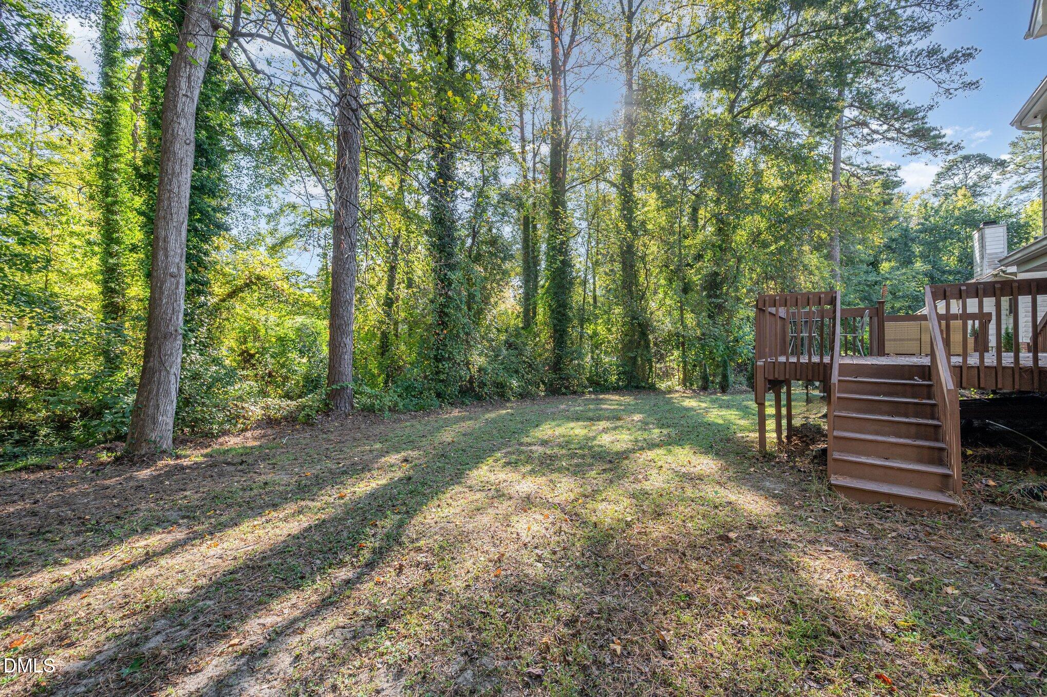 104 Forestchase Court Raleigh, NC 27603 - Photo 24 of 25 dsc_4743-edit-edit_322