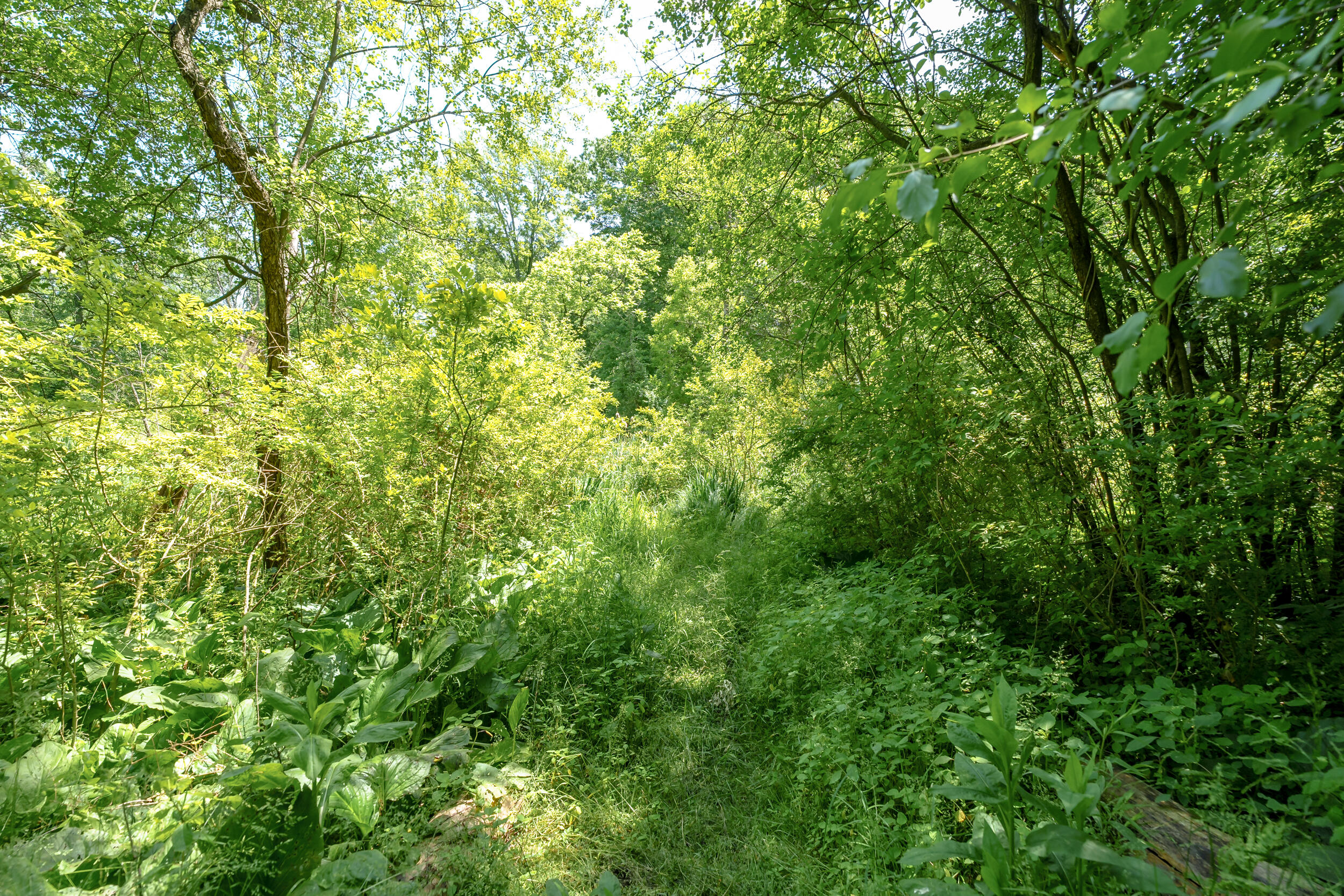 21 West Minges Road Battle Creek, MI 49015 - Photo 27 of 40 Minges_Rd_W_21_BattleCreek_49015-27