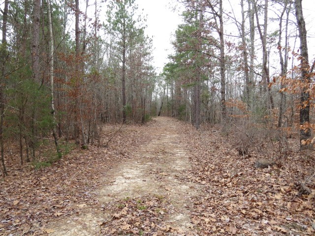 0 Free Bridge Road Ware Shoals, SC 29692 - Photo 12 of 34