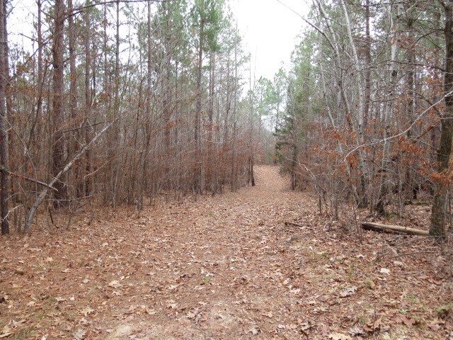 0 Free Bridge Road Ware Shoals, SC 29692 - Photo 13 of 34