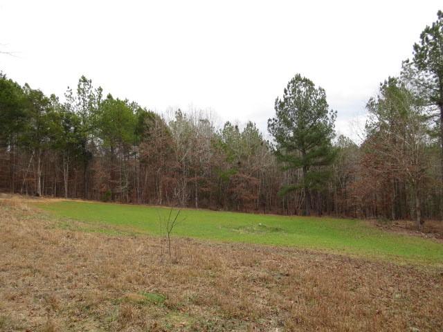 0 Free Bridge Road Ware Shoals, SC 29692 - Photo 14 of 34