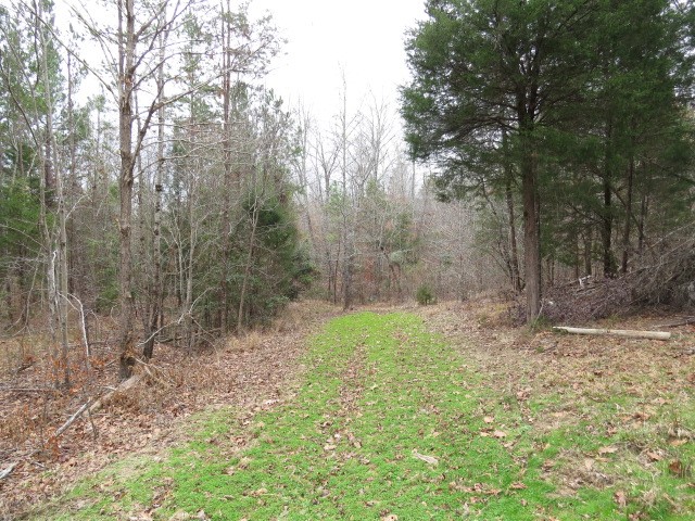 0 Free Bridge Road Ware Shoals, SC 29692 - Photo 15 of 34