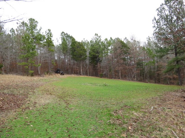0 Free Bridge Road Ware Shoals, SC 29692 - Photo 16 of 34
