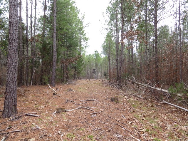 0 Free Bridge Road Ware Shoals, SC 29692 - Photo 17 of 34
