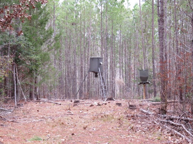 0 Free Bridge Road Ware Shoals, SC 29692 - Photo 18 of 34