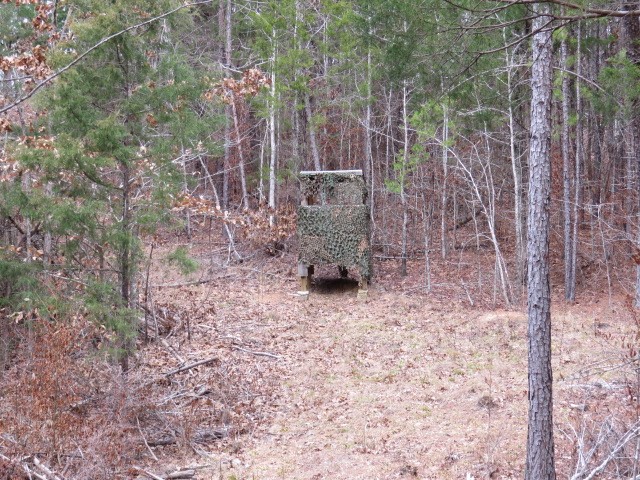 0 Free Bridge Road Ware Shoals, SC 29692 - Photo 19 of 34
