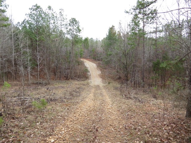 0 Free Bridge Road Ware Shoals, SC 29692 - Photo 2 of 34