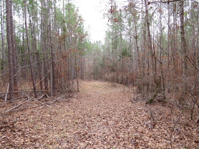0 Free Bridge Road Ware Shoals, SC 29692 - Photo 22 of 34