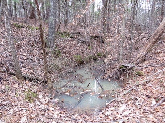 0 Free Bridge Road Ware Shoals, SC 29692 - Photo 25 of 34
