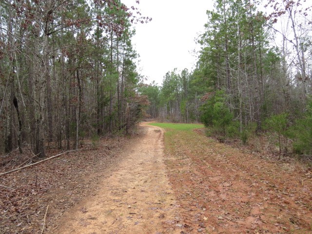 0 Free Bridge Road Ware Shoals, SC 29692 - Photo 26 of 34