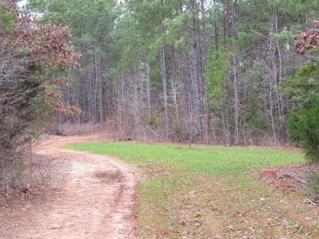 0 Free Bridge Road Ware Shoals, SC 29692 - Photo 27 of 34