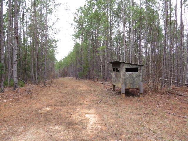 0 Free Bridge Road Ware Shoals, SC 29692 - Photo 28 of 34