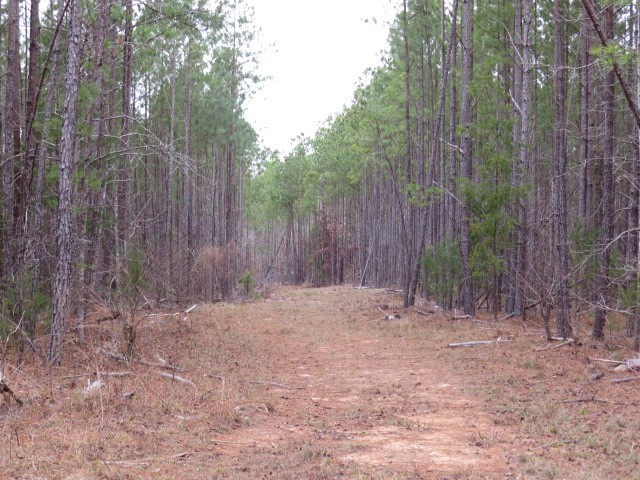 0 Free Bridge Road Ware Shoals, SC 29692 - Photo 30 of 34