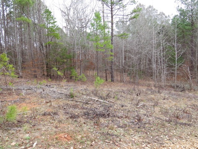 0 Free Bridge Road Ware Shoals, SC 29692 - Photo 3 of 34