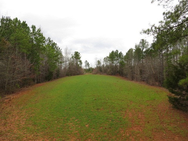 0 Free Bridge Road Ware Shoals, SC 29692 - Photo 31 of 34