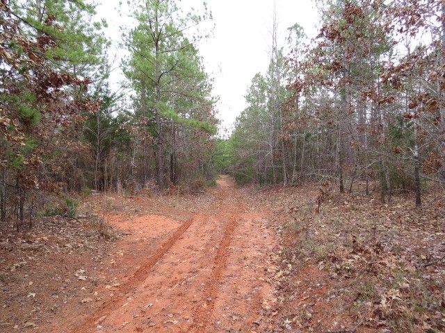 0 Free Bridge Road Ware Shoals, SC 29692 - Photo 32 of 34